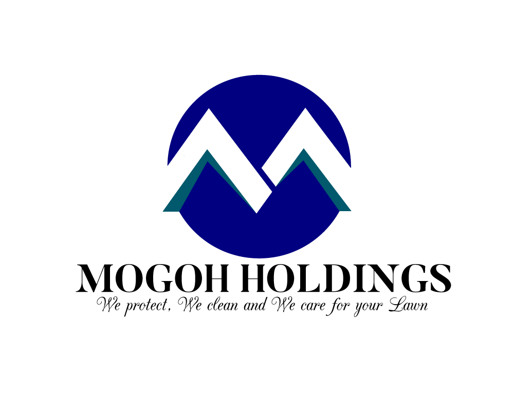 Mogo Holdings Pty Ltd